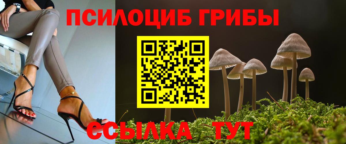 Псилоцибиновые грибы MAGIC MUSHROOMS Заводоуковск